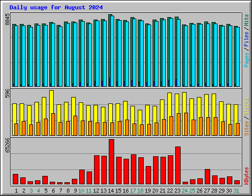 Daily usage for August 2024