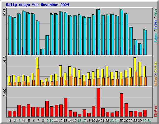 Daily usage for November 2024