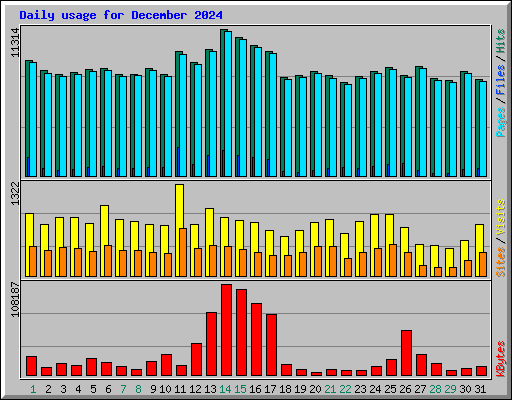 Daily usage for December 2024