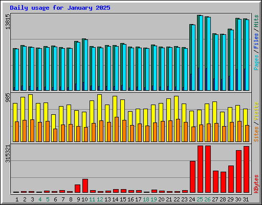 Daily usage for January 2025