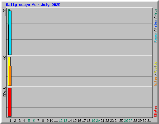 Daily usage for July 2025