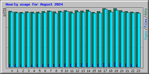 Hourly usage for August 2024