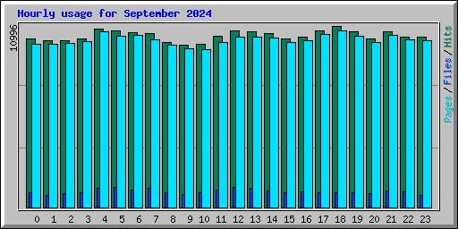 Hourly usage for September 2024