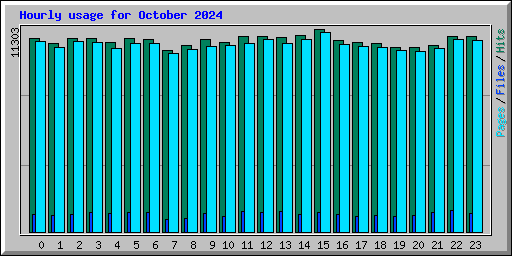 Hourly usage for October 2024
