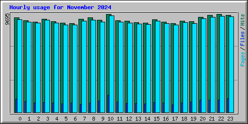 Hourly usage for November 2024