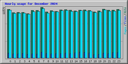 Hourly usage for December 2024
