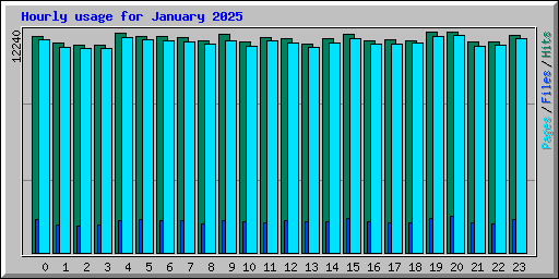 Hourly usage for January 2025