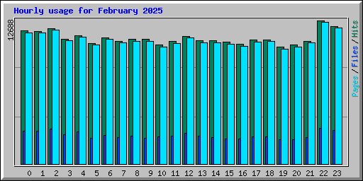 Hourly usage for February 2025