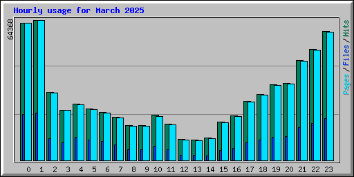 Hourly usage for March 2025