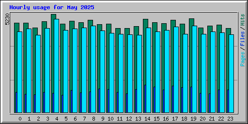 Hourly usage for May 2025