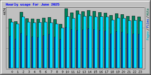 Hourly usage for June 2025
