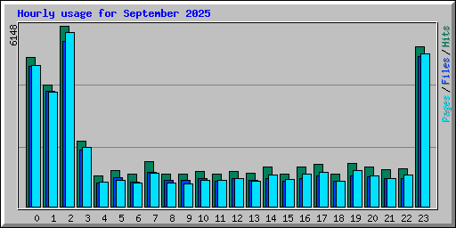 Hourly usage for September 2025