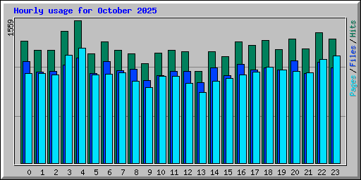 Hourly usage for October 2025