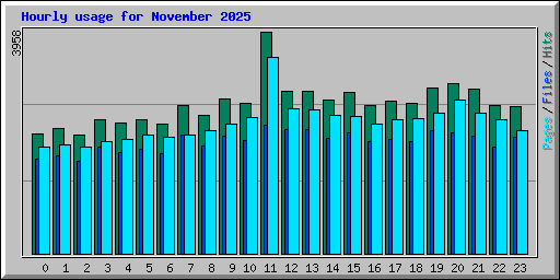 Hourly usage for November 2025