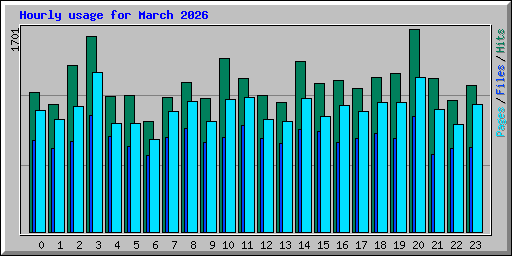 Hourly usage for March 2026
