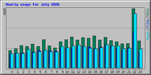 Hourly usage for July 2026